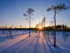 Winter in the Oulanka National Park in Finnish Lapland. Art Print